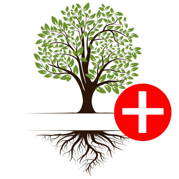 Khám & Trị Bệnh Cây Trồng