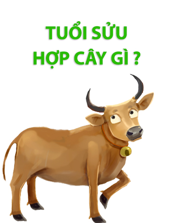 iosin.vn đang cập nhật...