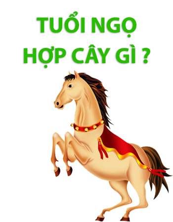 iosin.vn đang cập nhật...