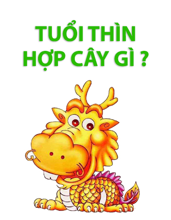 iosin.vn đang cập nhật...