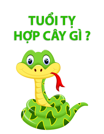 iosin.vn đang cập nhật...