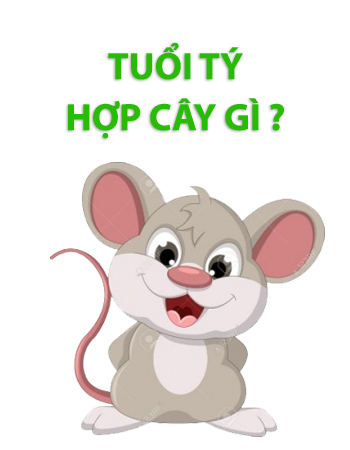 iosin.vn đang cập nhật...