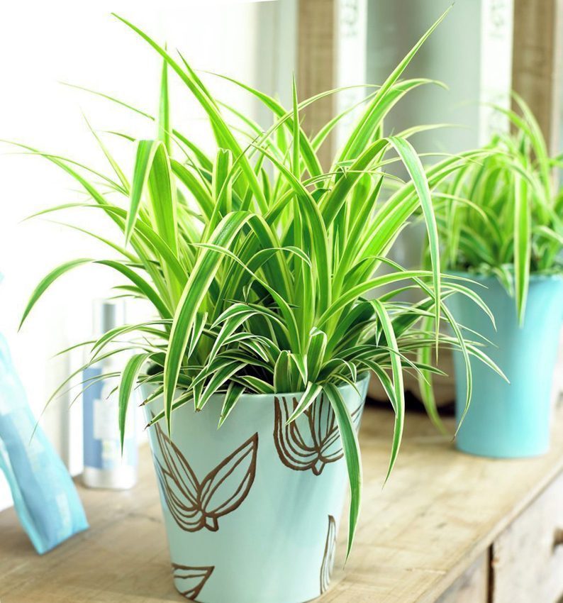 iosin.vn đang cập nhật...